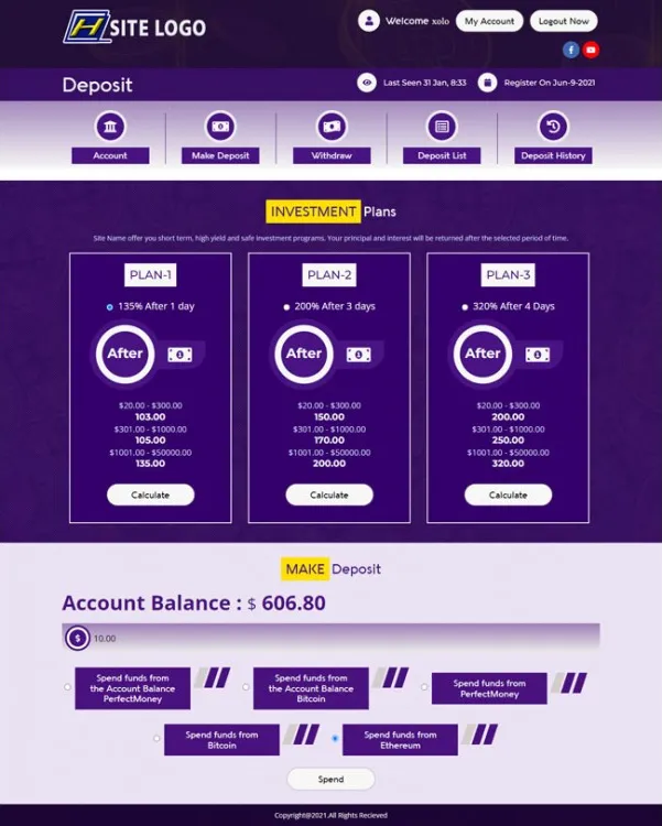 Investment Hyip Template ID - ZHRT355 demo Page 3