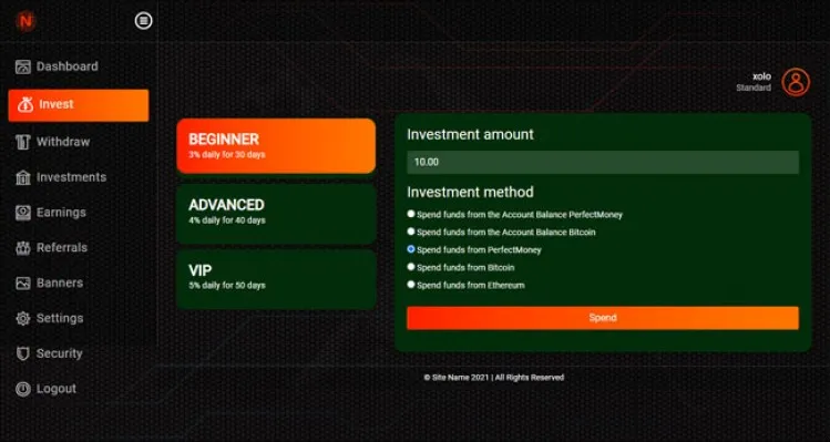 Investment Hyip Template ID - ZHRT356 demo Page 3