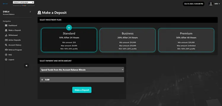 Investment Hyip Template ID - ZHRT420 demo Page 3