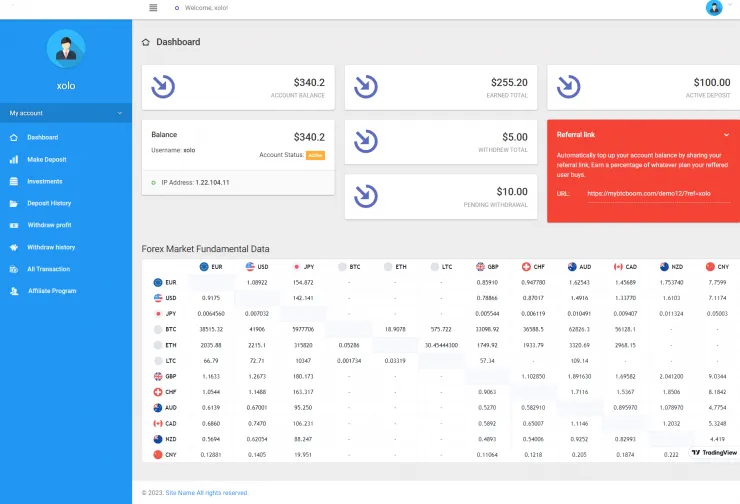 Investment Hyip Template ID - ZHRT426 demo Page 2