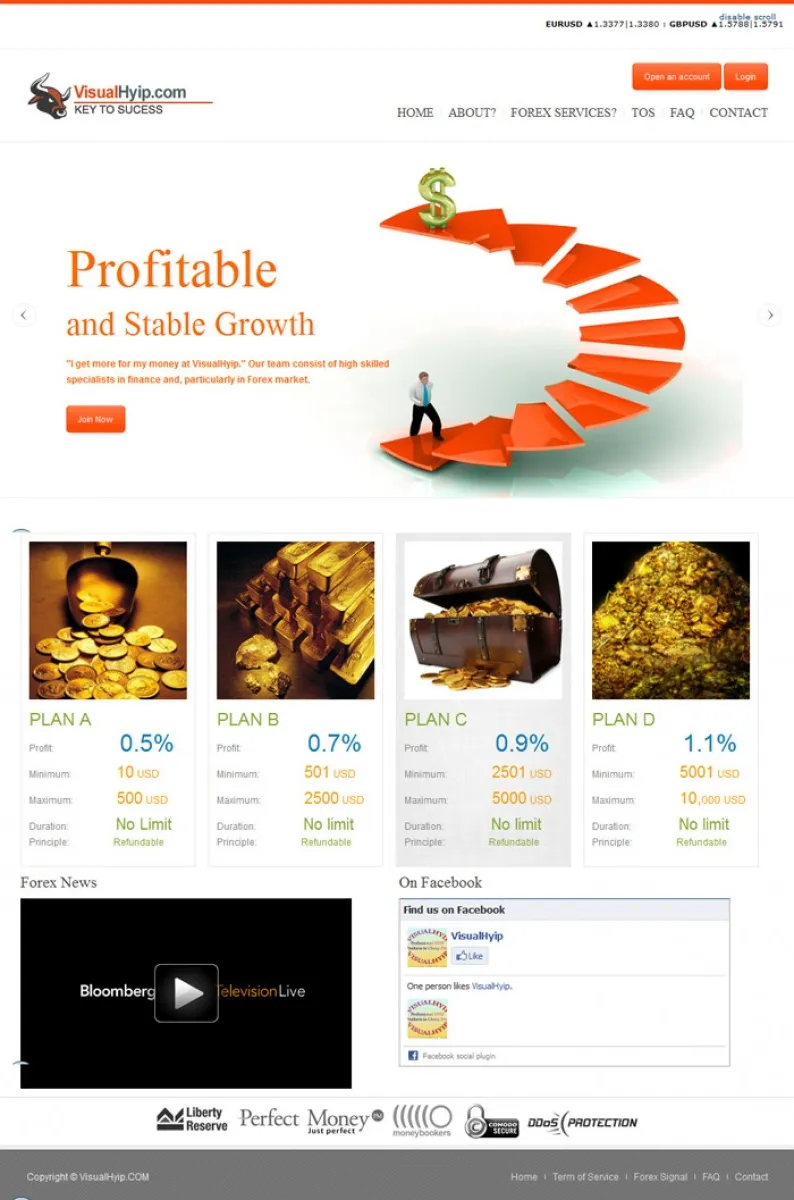 Investment Hyip Template ID - ZVPT1028 demo Page 1