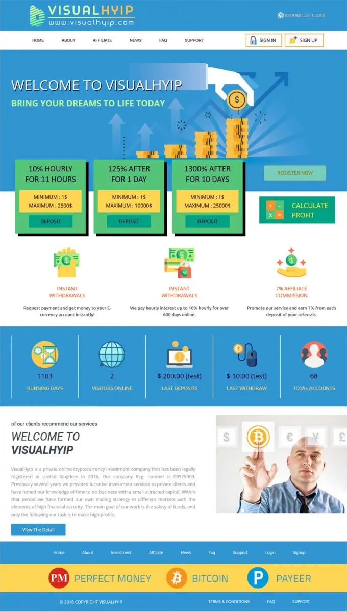 Investment Hyip Template ID - ZVPT1244 Preview
