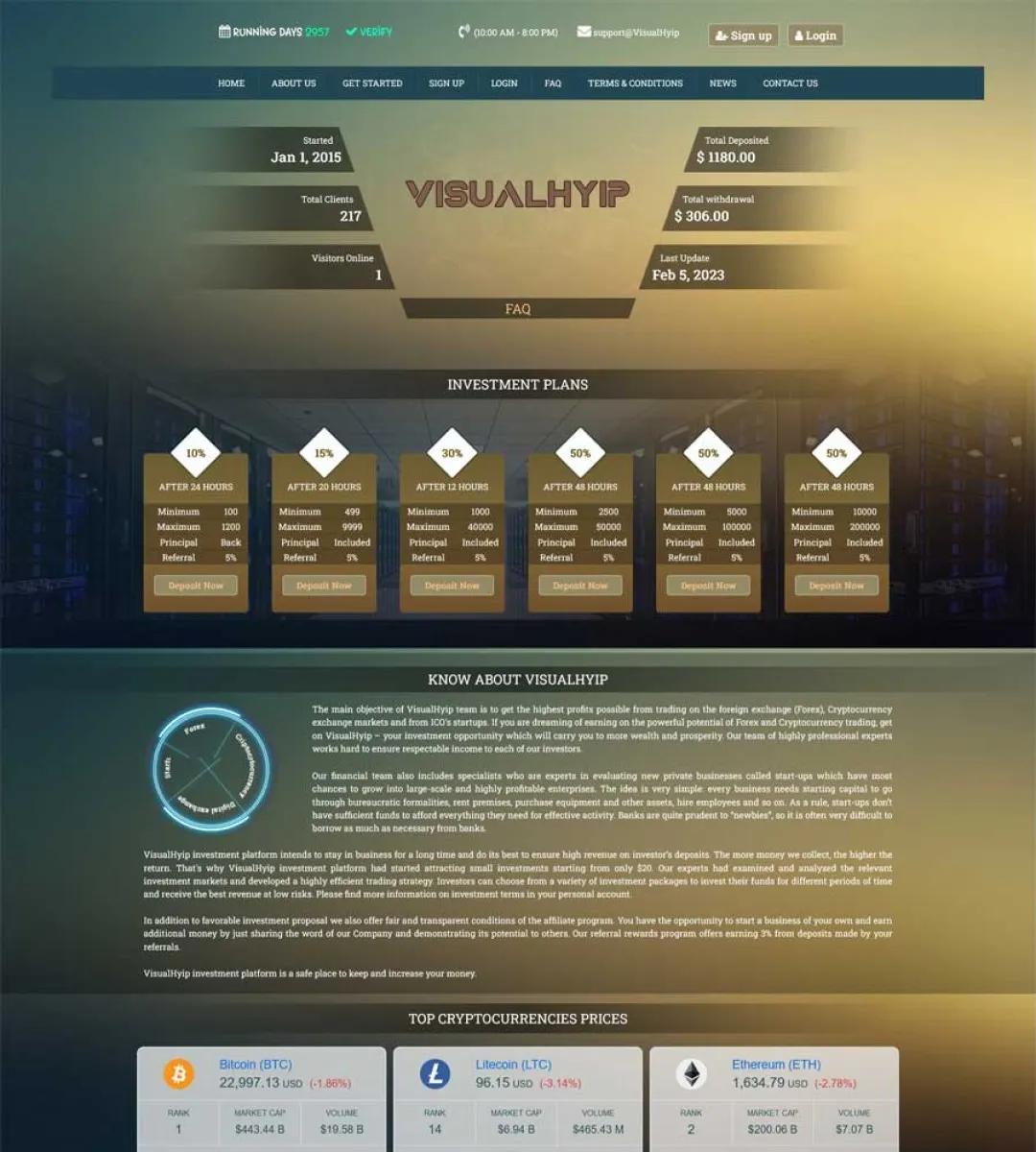 Investment Hyip Template ID - ZVPT1492 demo Page 2