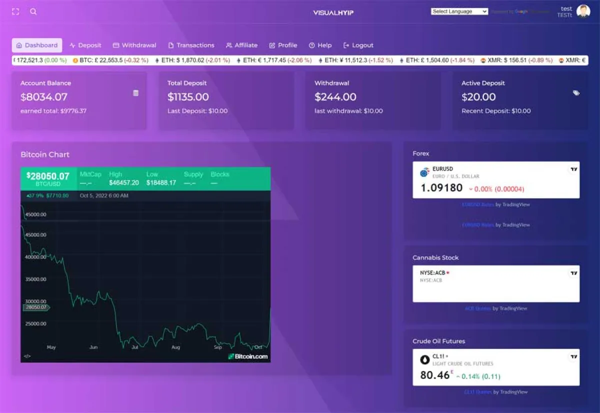 Investment Hyip Template ID - ZVPT1511 demo Page 4